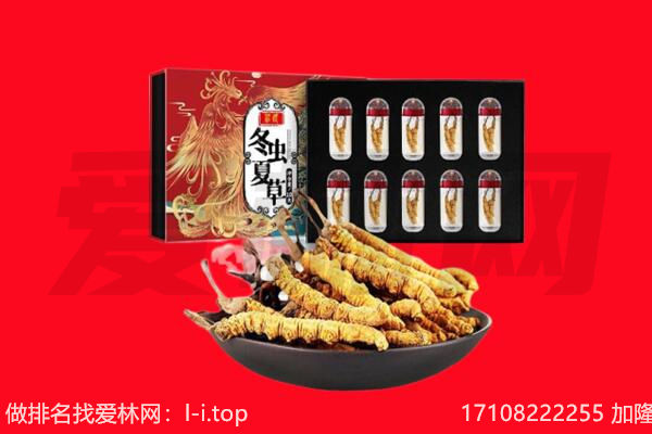 甘南舟曲县回收虫草.jpg